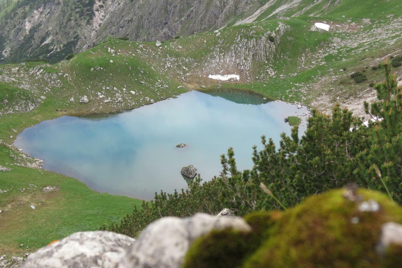 Ferienwohnungen Alpentraum - Alpengruen Оберстдорф Екстер'єр фото